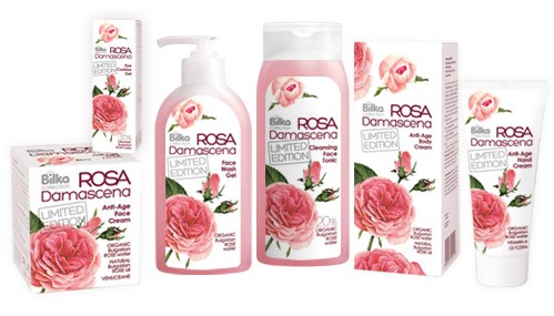 ROSA-DAMASCENA-138810-500x334